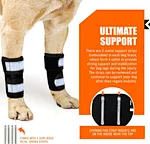 Front leg support for dogs