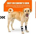 Dog leg brace front