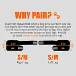 Front leg support for dogs