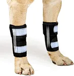 Whether your dog is suffering from injuries or age-related joint discomforts, using the right dog brace supports and stabilizes the affected area. Our dog leg splint front leg brace is smartly designed for optimal pet recovery.